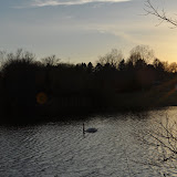 DSC_0305.JPG