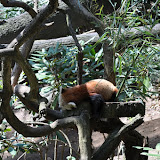 DSC_0082.JPG