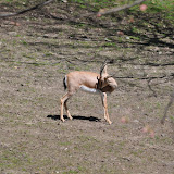 DSC_0089.JPG