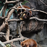 DSC_0096.JPG