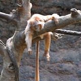 DSC_0103.JPG