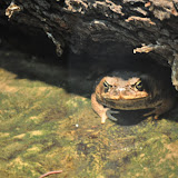 DSC_0016.JPG