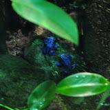 DSC_0022.JPG