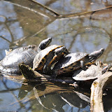 DSC_0039.JPG