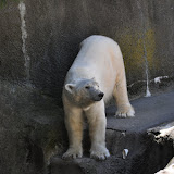 DSC_0059.JPG