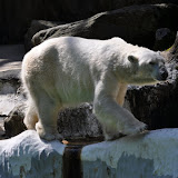 DSC_0067.JPG