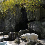 DSC_0072.JPG