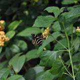 DSC_0257.JPG