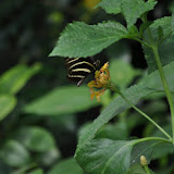 DSC_0258.JPG