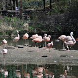 DSC_0243.JPG