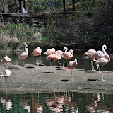DSC_0244.JPG