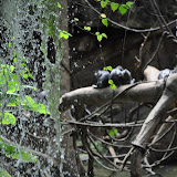 DSC_0119.JPG