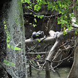 DSC_0120.JPG