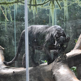 DSC_0139.JPG