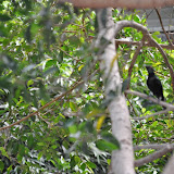 DSC_0138.JPG
