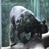 DSC_0141.JPG