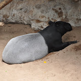 DSC_0153.JPG