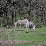 DSC_0161.JPG