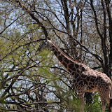 DSC_0167.JPG