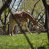 DSC_0177.JPG