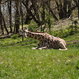 DSC_0179.JPG