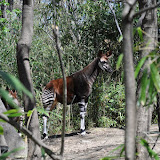 DSC_0186.JPG