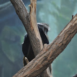 DSC_0191.JPG