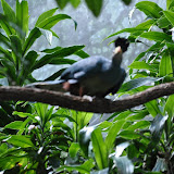DSC_0199.JPG