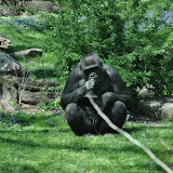 DSC_0210.JPG
