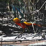 DSC_0227.JPG