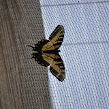 DSC_0284.JPG