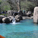 DSC_0342.JPG