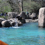 DSC_0343.JPG