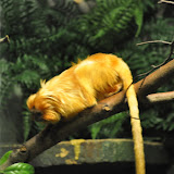 DSC_0330.JPG