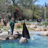 DSC_0345.JPG