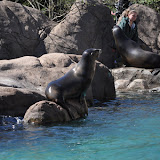 DSC_0348.JPG