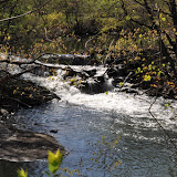 DSC_0375.JPG