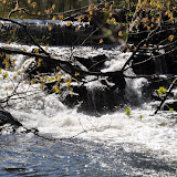DSC_0376.JPG