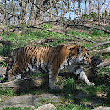 DSC_0382.JPG