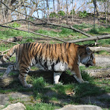 DSC_0384.JPG