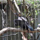 DSC_0396.JPG