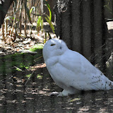 DSC_0400.JPG