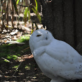 DSC_0402.JPG
