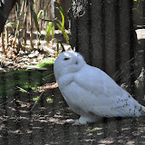 DSC_0401.JPG