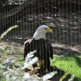 DSC_0405.JPG