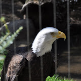 DSC_0411.JPG