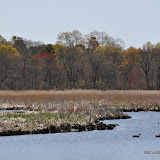 DSC_0427.JPG