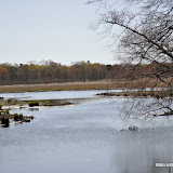 DSC_0431.JPG