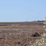 DSC_0450.JPG