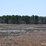 DSC_0452.JPG